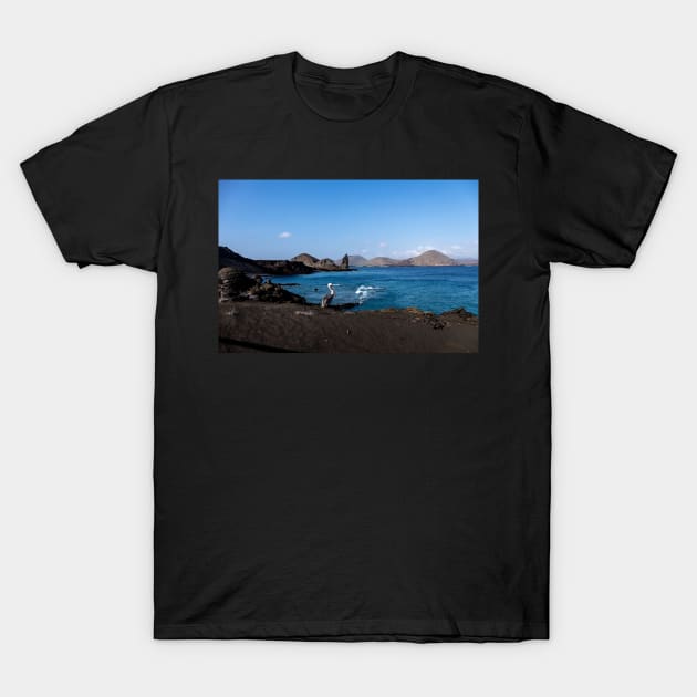 Pelican on Bartolome Island, Galapagos T-Shirt by RosNapier